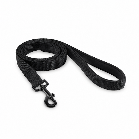 Dog leash